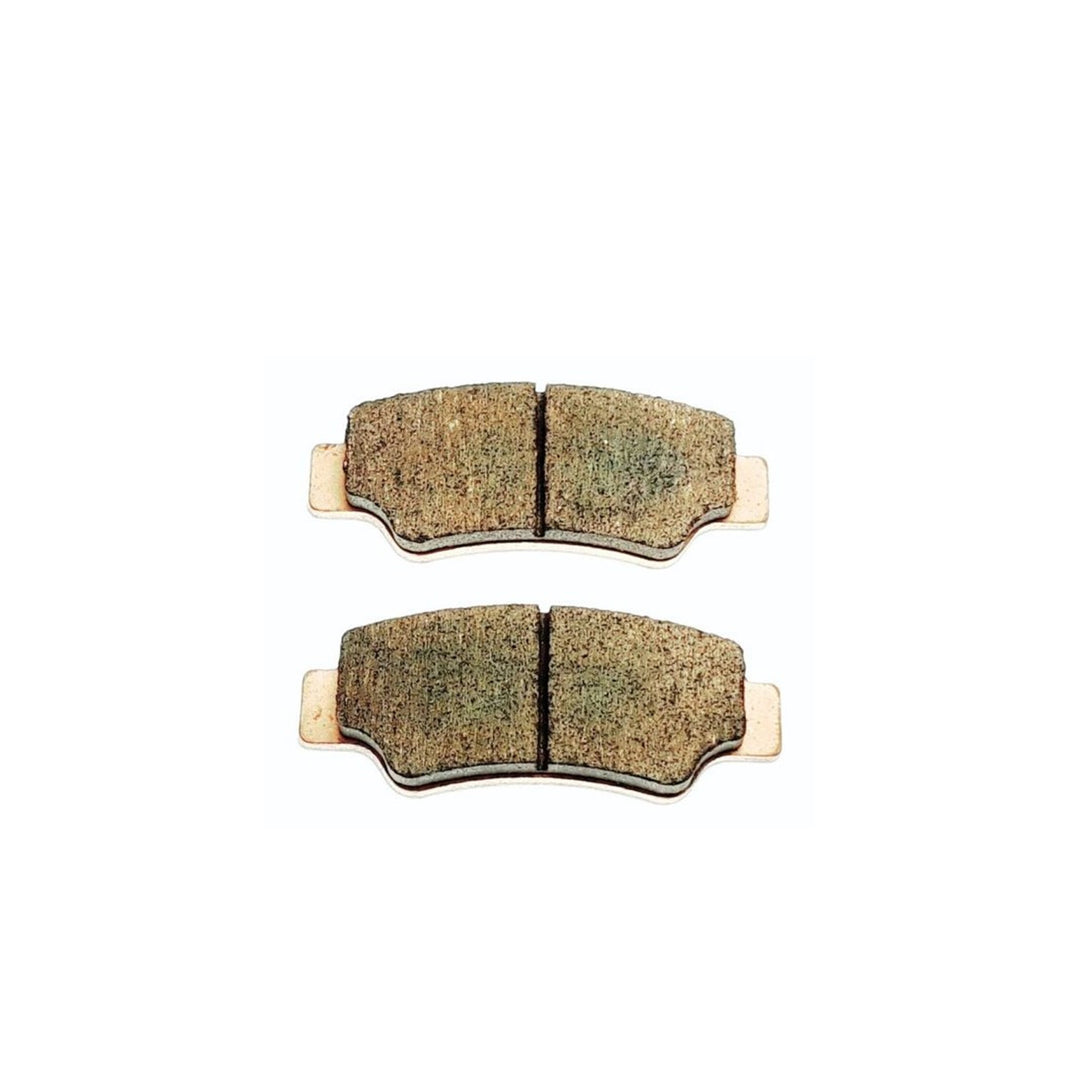 Segway - REAR BRAKE PAD ASSEMBLY